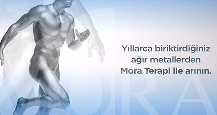 Vücudunuzda Sinsice Biriken Ağır Metallerinizden Arının
